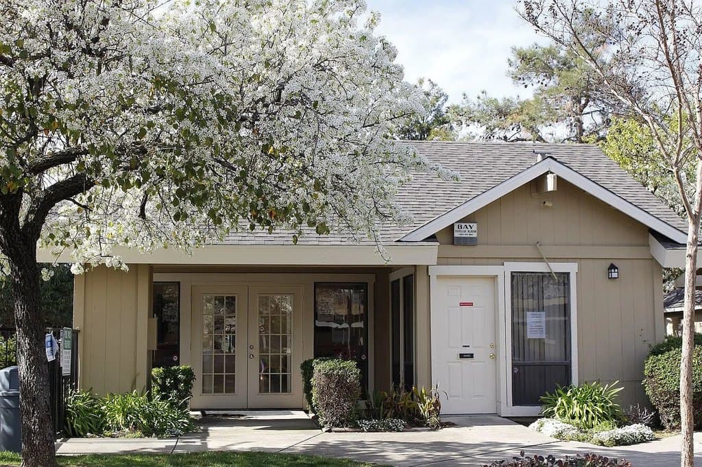 Willow Glen