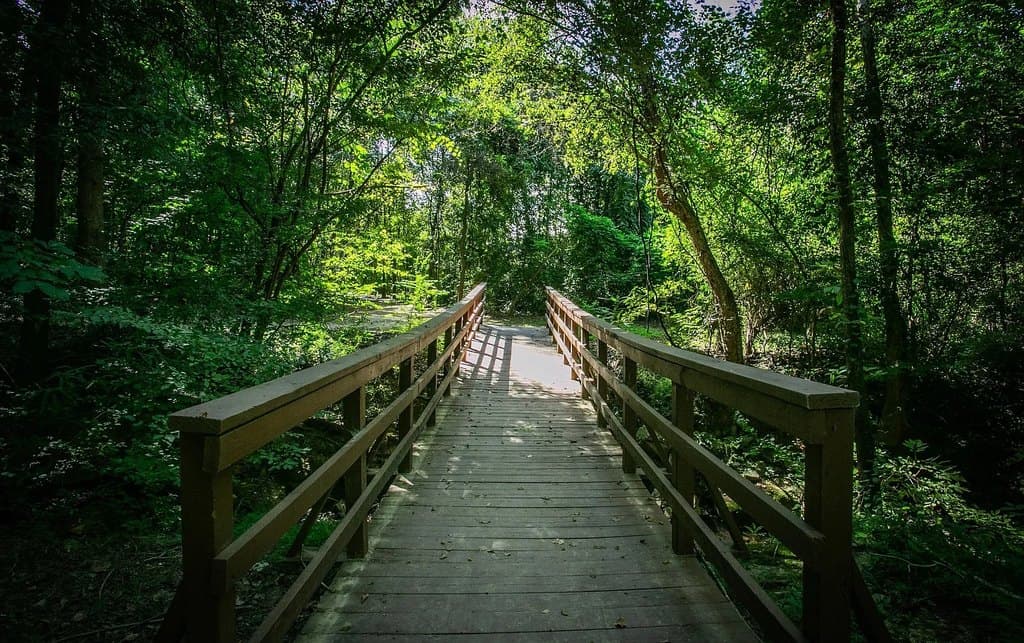 Stone Creek at Brookhaven Apartment Homes
