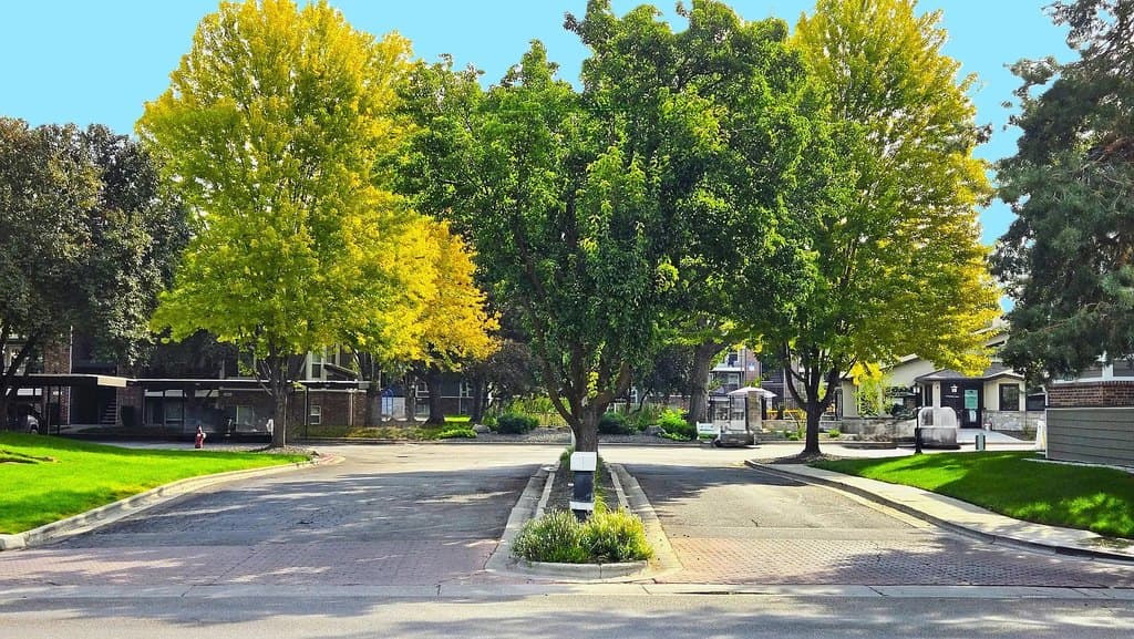 Springs of Royal Oaks