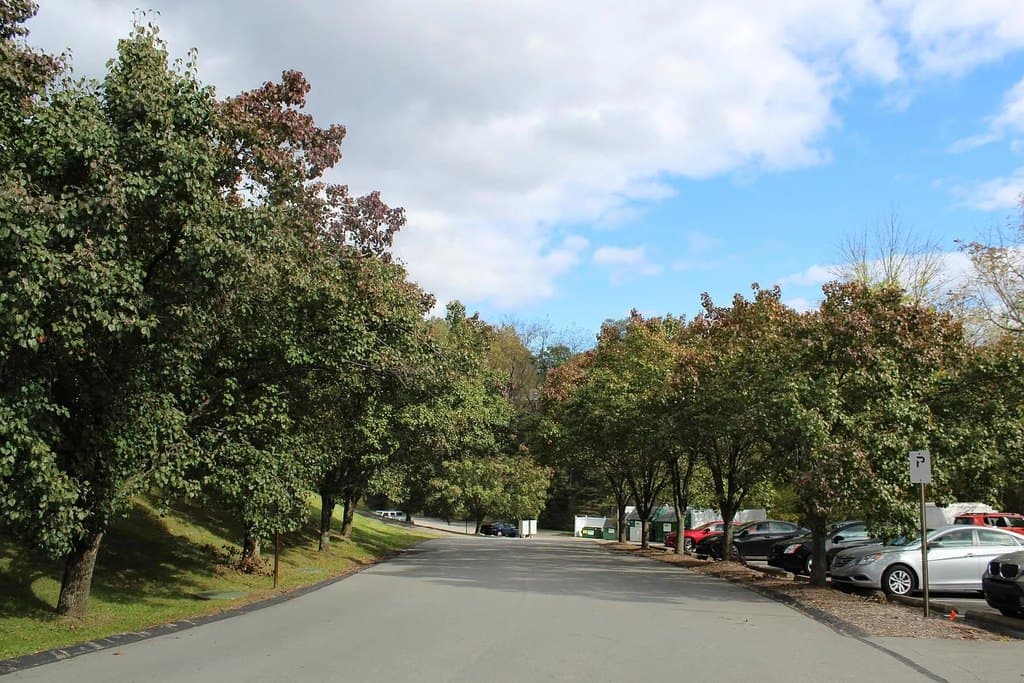Alder Ridge